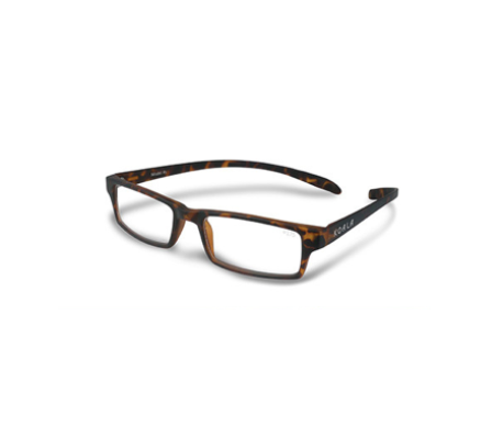 RR1 Matte Tortoise